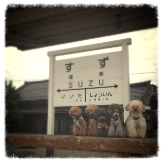 �o���`*\(^o^)/*