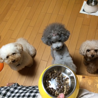 �J���J������