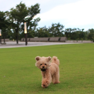 �T������