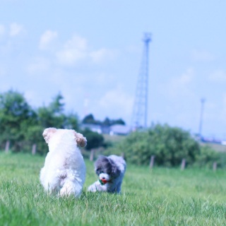 ��Γn���Ȃ���I