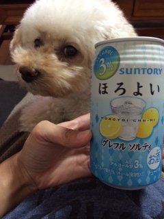 ���C�オ��̈�t��