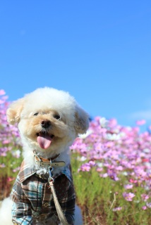 ���͂�