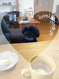 �T�v���C�Y�K���