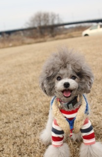 �X�}�C��(*^^*)