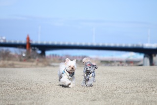 �N���������邩��c