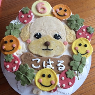 �W���W���[���I