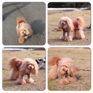 �Ȃ݂���(*^^*)