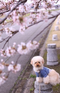 ���K���c
