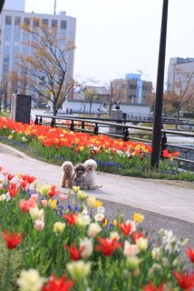 �J���t���`(*^^*)