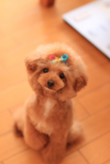 �����`��