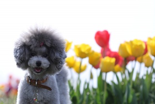 �j�b�q�`��