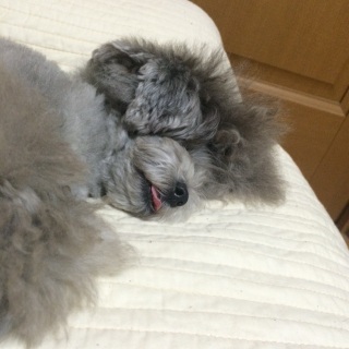 �`���p�`���p