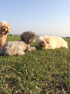 �T����