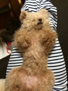 �����҂낰(//��//)