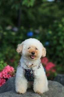 �[��ہ�