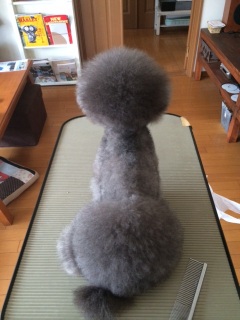 ���[�ꂾ�H