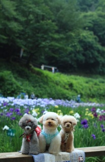 �i�C�Xsmile( ^��^ )