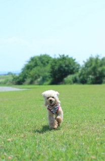 �T����