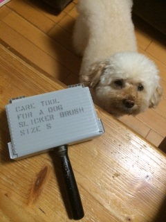 ���肢���āc