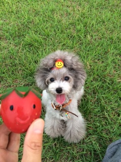 ���������āI