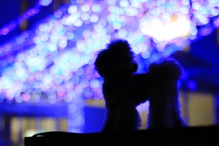 ����