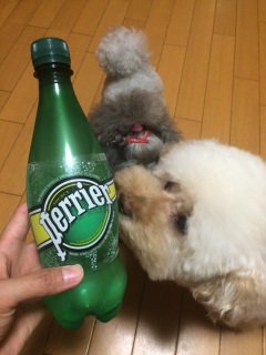 �Y�_��