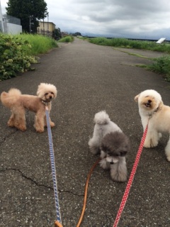 ���ɂ��~�肻��
