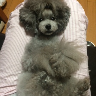 �A�C�^�^�^�b(>_<)