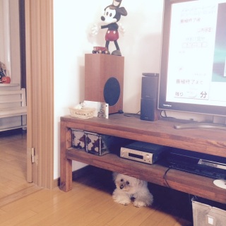 �V�����v�[