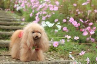 �J��������