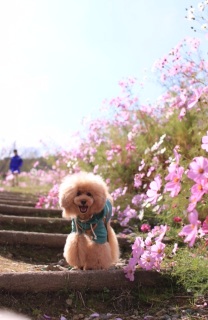 Qoo�����