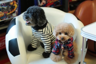 �w�^���u���U�[�Y