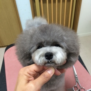 �s���Ă��܂����I