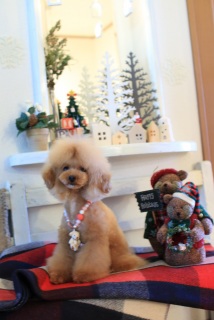 �g���~���O�����I