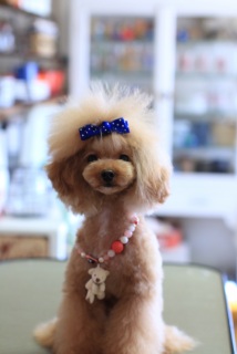 �g���~���O�e�[�u����