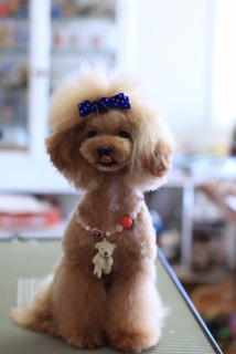 �y�������`��