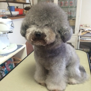 �����before