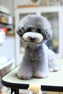 �����after