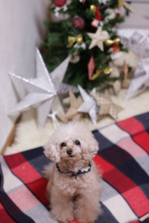 �T������