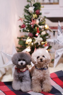 �L���L�����ږځ�