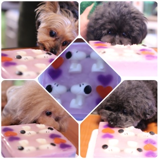 �`�G����P�[�L