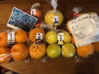 柑橘祭